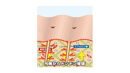 小顔あご