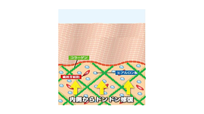 小顔あご